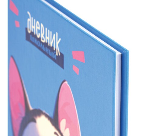 Дневник 1-4 класс 48 л., твердый, ЮНЛАНДИЯ, глянцевая ламинация, с подсказом, 