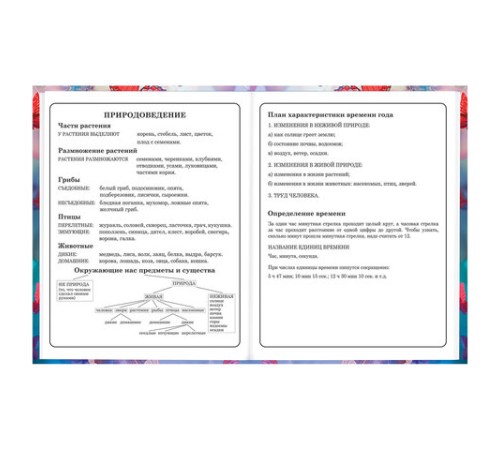 Дневник 1-4 класс 48 л., твердый, BRAUBERG, глянцевая ламинация, с подсказом, 