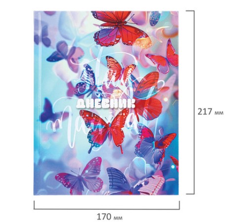 Дневник 1-4 класс 48 л., твердый, BRAUBERG, глянцевая ламинация, с подсказом, 