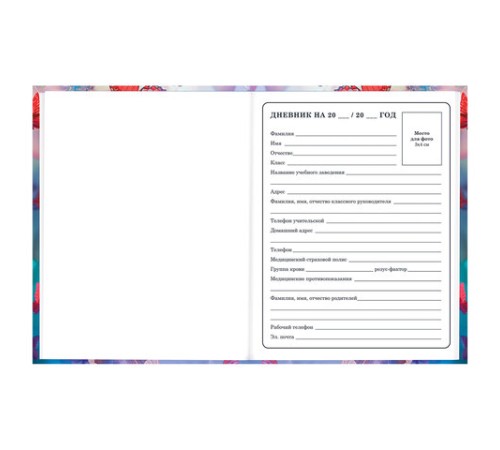 Дневник 1-4 класс 48 л., твердый, BRAUBERG, глянцевая ламинация, с подсказом, 