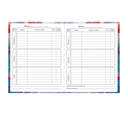 Дневник 1-4 класс 48 л., твердый, BRAUBERG, глянцевая ламинация, с подсказом, 