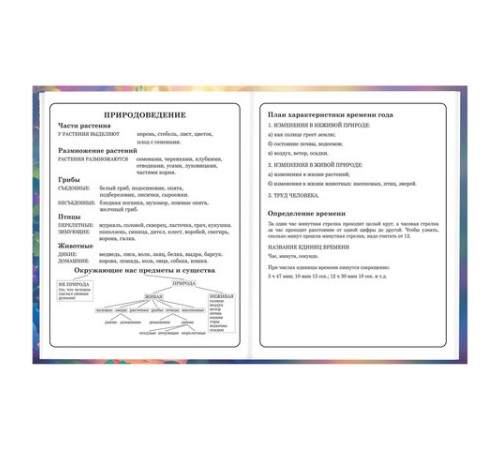 Дневник 1-4 класс 48 л., твердый, BRAUBERG, глянцевая ламинация, с подсказом, 