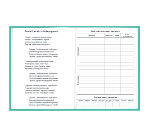 Дневник 1-11 класс 40 л., твердый, BRAUBERG, матовая ламинация, АССОРТИ, 107165