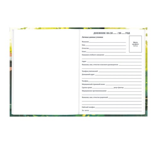 Дневник 1-11 класс 40 л., твердый, BRAUBERG, глянцевая ламинация, 