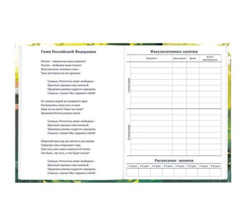 Дневник 1-11 класс 40 л., твердый, BRAUBERG, глянцевая ламинация, 