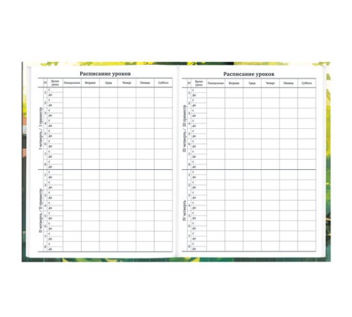 Дневник 1-11 класс 40 л., твердый, BRAUBERG, глянцевая ламинация, 