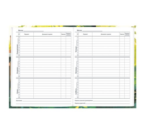 Дневник 1-11 класс 40 л., твердый, BRAUBERG, глянцевая ламинация, 