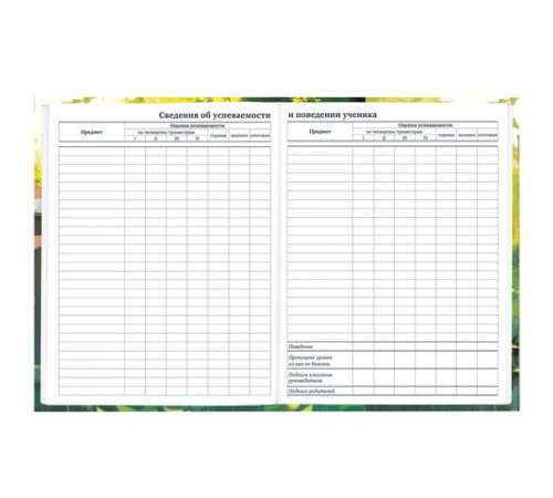 Дневник 1-11 класс 40 л., твердый, BRAUBERG, глянцевая ламинация, 