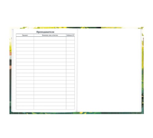 Дневник 1-11 класс 40 л., твердый, BRAUBERG, глянцевая ламинация, 