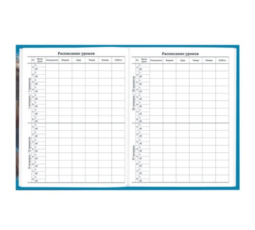 Дневник 1-11 класс 40 л., твердый, BRAUBERG, глянцевая ламинация, 