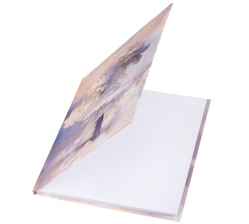 Дневник 1-11 класс 40 л., твердый, BRAUBERG, матовая ламинация, 