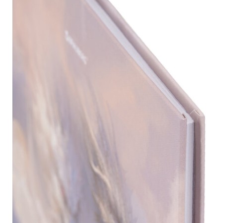 Дневник 1-11 класс 40 л., твердый, BRAUBERG, матовая ламинация, 