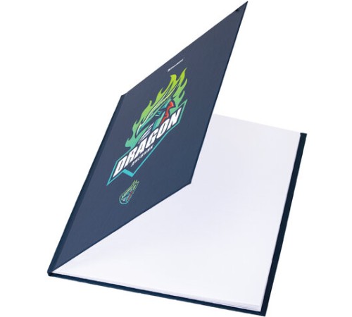 Дневник 1-11 класс 40 л., твердый, BRAUBERG, матовая ламинация, 