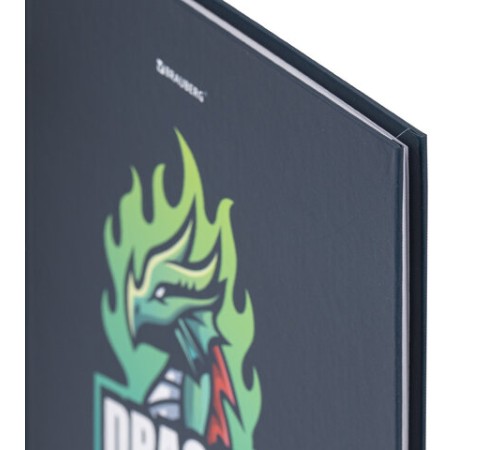 Дневник 1-11 класс 40 л., твердый, BRAUBERG, матовая ламинация, 