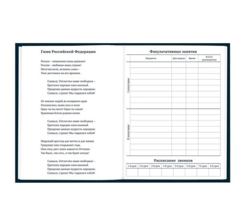 Дневник 1-11 класс 40 л., твердый, BRAUBERG, матовая ламинация, 