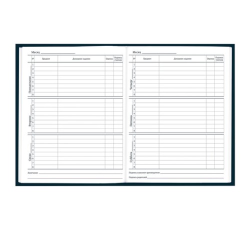 Дневник 1-11 класс 40 л., твердый, BRAUBERG, матовая ламинация, 