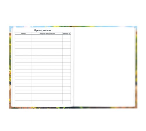 Дневник 1-11 класс 40 л., твердый, BRAUBERG, матовая ламинация, 