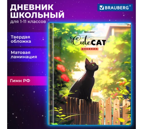 Дневник 1-11 класс 40 л., твердый, BRAUBERG, матовая ламинация, 