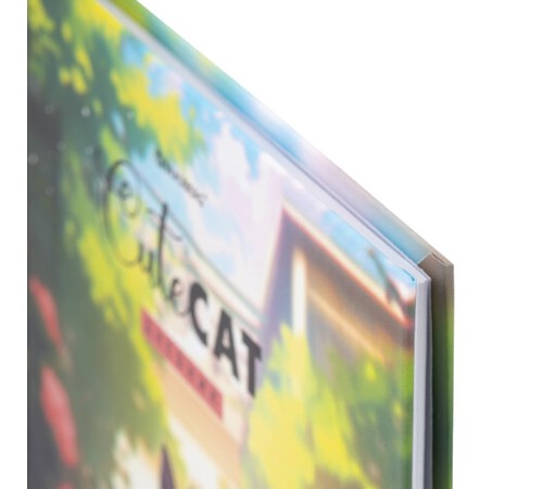 Дневник 1-11 класс 40 л., твердый, BRAUBERG, матовая ламинация, 