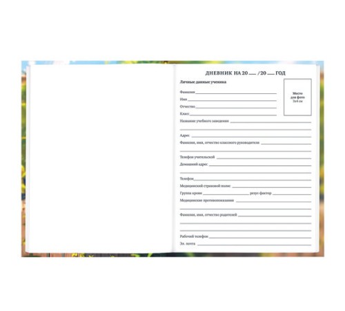 Дневник 1-11 класс 40 л., твердый, BRAUBERG, матовая ламинация, 