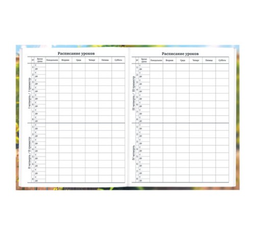 Дневник 1-11 класс 40 л., твердый, BRAUBERG, матовая ламинация, 