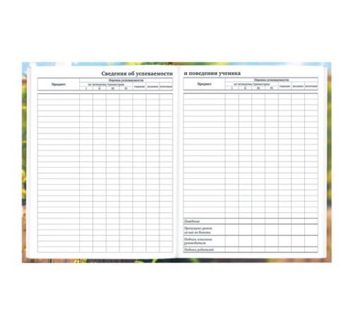 Дневник 1-11 класс 40 л., твердый, BRAUBERG, матовая ламинация, 