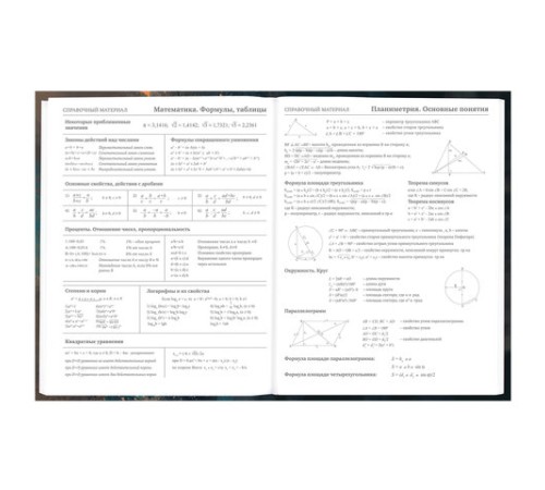Дневник 5-11 класс 48 л., гибкая обложка, BRAUBERG, глянцевая ламинация, с подсказом, 