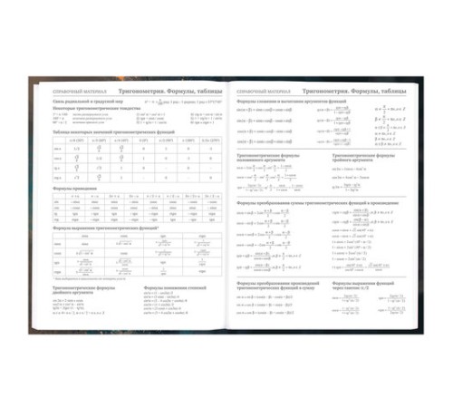 Дневник 5-11 класс 48 л., гибкая обложка, BRAUBERG, глянцевая ламинация, с подсказом, 