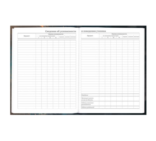 Дневник 5-11 класс 48 л., гибкая обложка, BRAUBERG, глянцевая ламинация, с подсказом, 