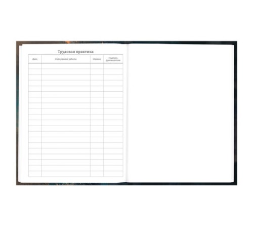 Дневник 5-11 класс 48 л., гибкая обложка, BRAUBERG, глянцевая ламинация, с подсказом, 