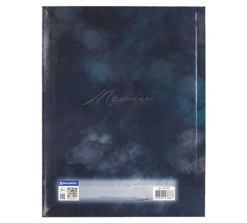Дневник 5-11 класс 48 л., гибкая обложка, BRAUBERG, глянцевая ламинация, с подсказом, 