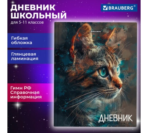 Дневник 5-11 класс 48 л., гибкая обложка, BRAUBERG, глянцевая ламинация, с подсказом, 