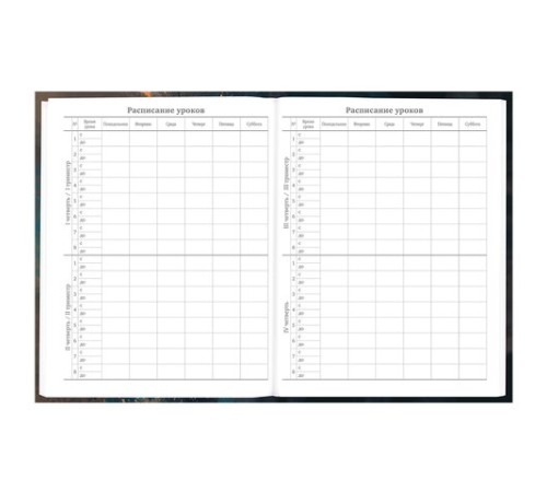 Дневник 5-11 класс 48 л., гибкая обложка, BRAUBERG, глянцевая ламинация, с подсказом, 