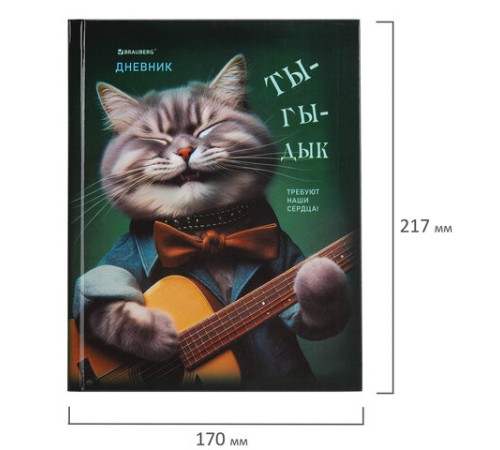 Дневник 5-11 класс 48 л., твердый, BRAUBERG, глянцевая ламинация, с подсказом, 