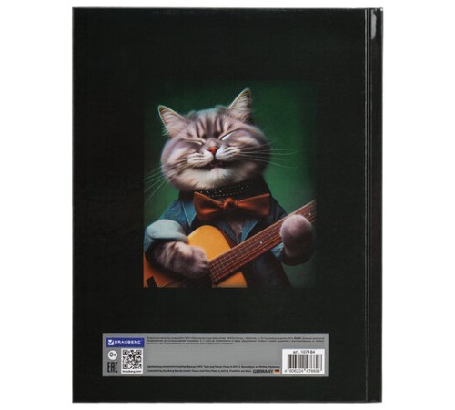 Дневник 5-11 класс 48 л., твердый, BRAUBERG, глянцевая ламинация, с подсказом, 