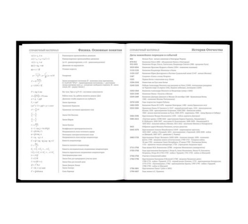 Дневник 5-11 класс 48 л., твердый, BRAUBERG, матовая ламинация, с подсказом, 