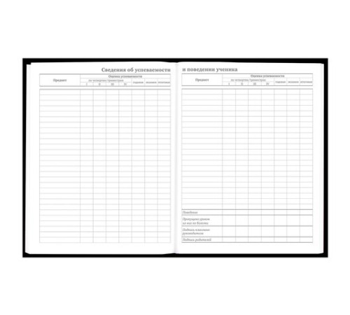 Дневник 5-11 класс 48 л., твердый, BRAUBERG, матовая ламинация, с подсказом, 