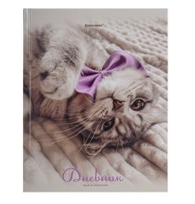 Дневник 5-11 класс 48 л., твердый, BRAUBERG, глянцевая ламинация, с подсказом, 