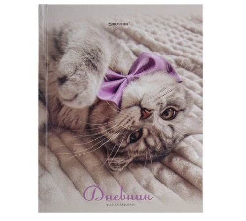 Дневник 5-11 класс 48 л., твердый, BRAUBERG, глянцевая ламинация, с подсказом, 