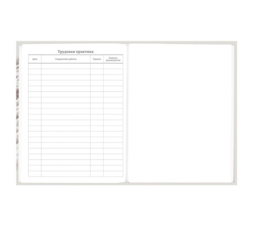 Дневник 5-11 класс 48 л., твердый, BRAUBERG, глянцевая ламинация, с подсказом, 