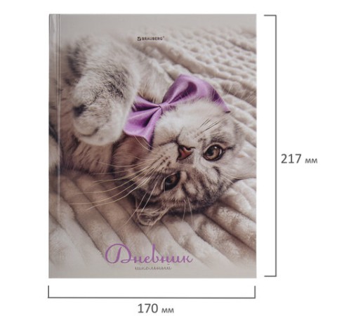 Дневник 5-11 класс 48 л., твердый, BRAUBERG, глянцевая ламинация, с подсказом, 