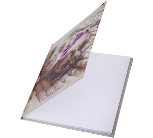 Дневник 5-11 класс 48 л., твердый, BRAUBERG, глянцевая ламинация, с подсказом, 