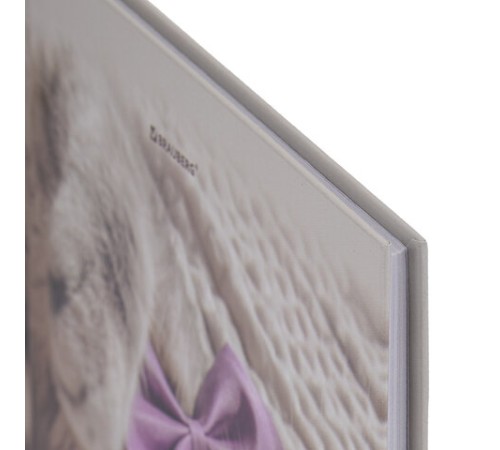 Дневник 5-11 класс 48 л., твердый, BRAUBERG, глянцевая ламинация, с подсказом, 