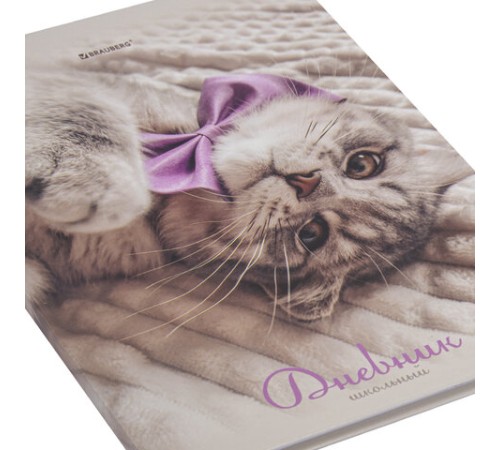 Дневник 5-11 класс 48 л., твердый, BRAUBERG, глянцевая ламинация, с подсказом, 