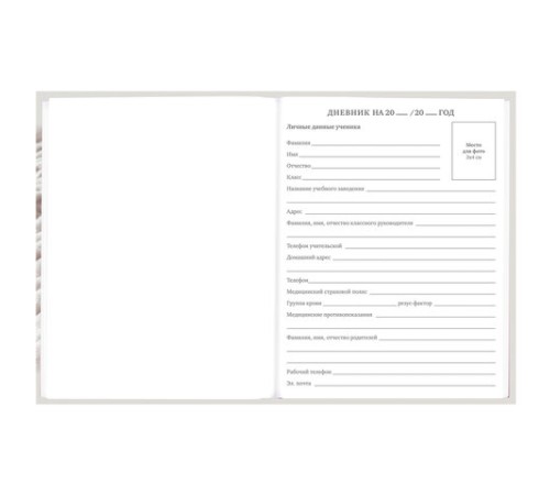 Дневник 5-11 класс 48 л., твердый, BRAUBERG, глянцевая ламинация, с подсказом, 