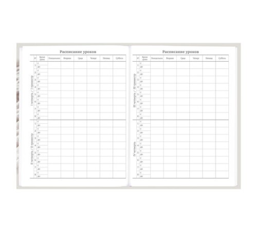 Дневник 5-11 класс 48 л., твердый, BRAUBERG, глянцевая ламинация, с подсказом, 