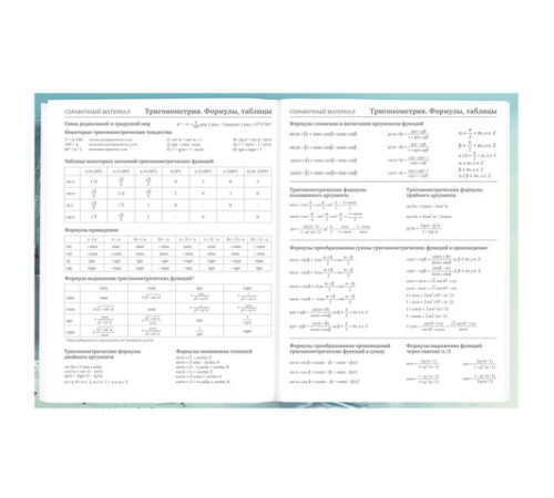 Дневник 5-11 класс 48 л., твердый, BRAUBERG, глянцевая ламинация, с подсказом, 