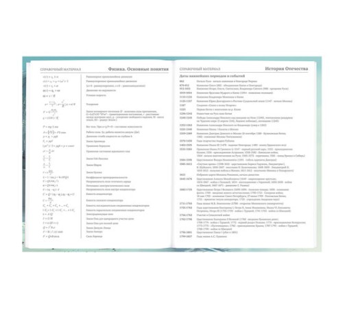 Дневник 5-11 класс 48 л., твердый, BRAUBERG, глянцевая ламинация, с подсказом, 