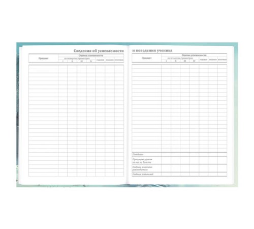 Дневник 5-11 класс 48 л., твердый, BRAUBERG, глянцевая ламинация, с подсказом, 