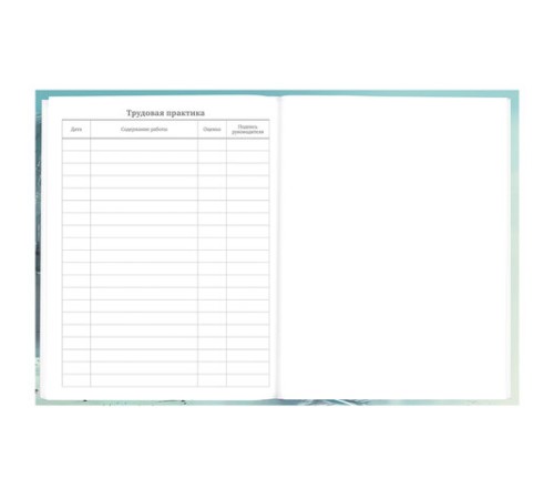 Дневник 5-11 класс 48 л., твердый, BRAUBERG, глянцевая ламинация, с подсказом, 